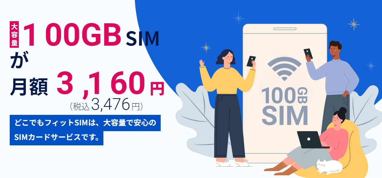 どこでもフィットSIM